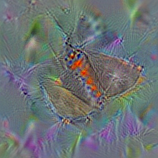 n02268853 damselfly